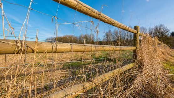 Arizona Property Line and Fence Laws
